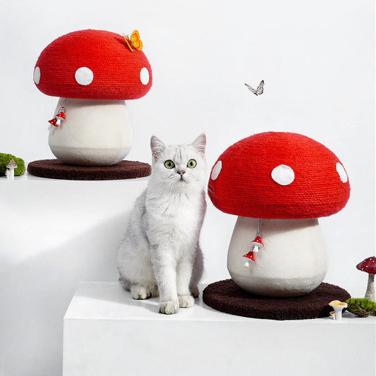 Klösbräda för katt med svamp Crazy catlady shop