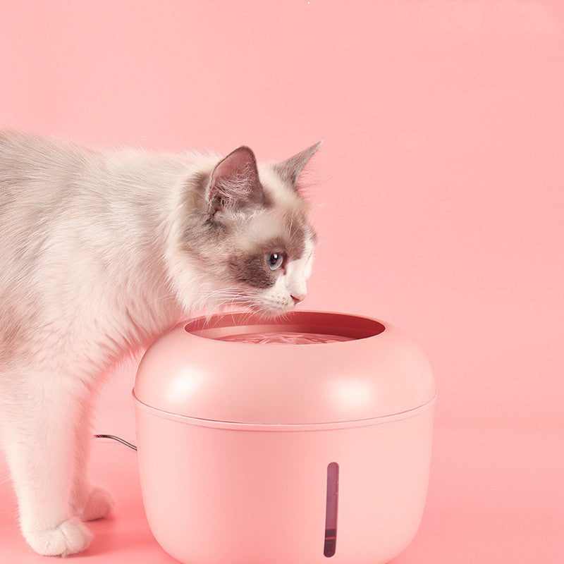 Smart filter för dricksvatten Crazy catlady shop