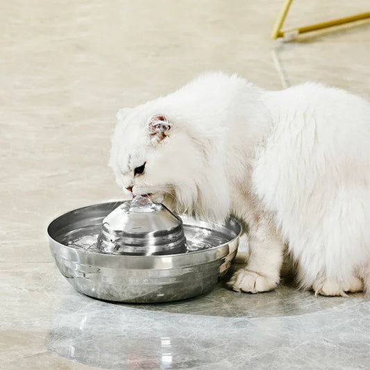 Vatten fontän till din katt Crazy catlady shop