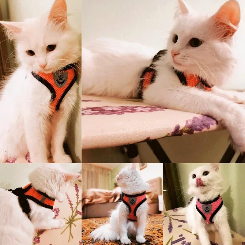 Cat Harness Vest Walking Lead Leash For Puppy Dogs Collar Polyester Adjustable Mesh Dog Harness For Small Medium Pet Accessories Crazy catlady shop