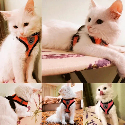 Cat Harness Vest Walking Lead Leash For Puppy Dogs Collar Polyester Adjustable Mesh Dog Harness For Small Medium Pet Accessories Crazy catlady shop