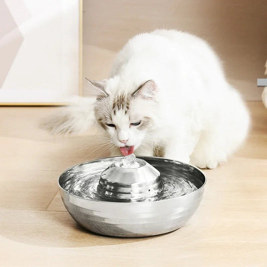 Vatten fontän till din katt Crazy catlady shop