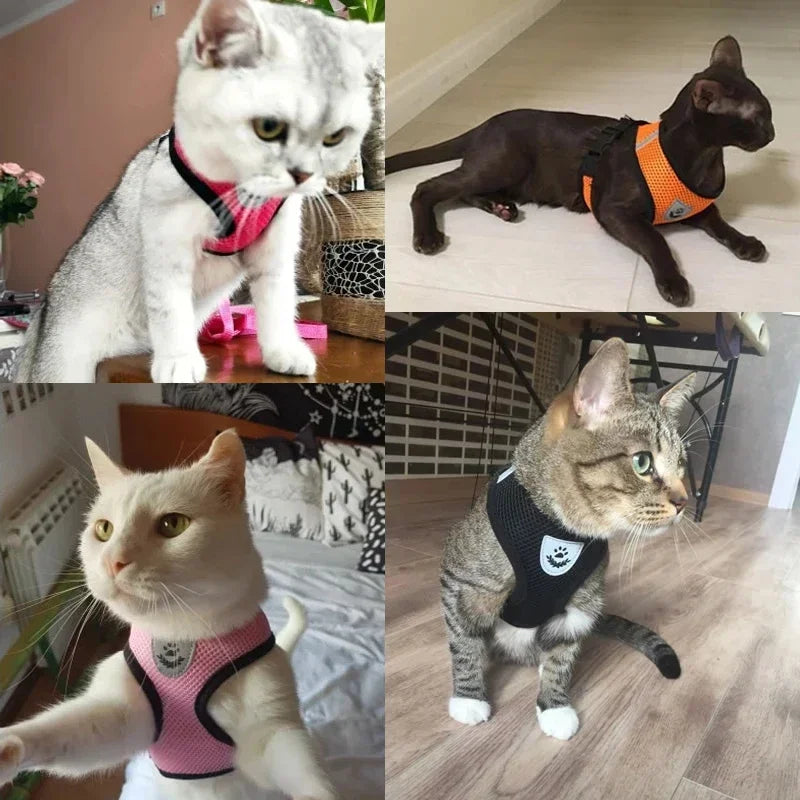 Cat Harness Vest Walking Lead Leash For Puppy Dogs Collar Polyester Adjustable Mesh Dog Harness For Small Medium Pet Accessories Crazy catlady shop