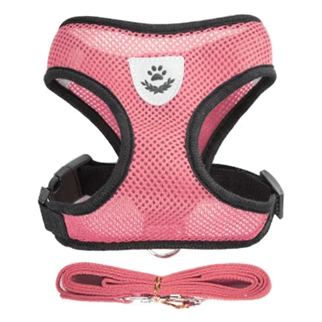 Cat Harness Vest Walking Lead Leash For Puppy Dogs Collar Polyester Adjustable Mesh Dog Harness For Small Medium Pet Accessories Crazy catlady shop
