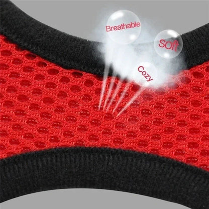 Cat Harness Vest Walking Lead Leash For Puppy Dogs Collar Polyester Adjustable Mesh Dog Harness For Small Medium Pet Accessories Crazy catlady shop